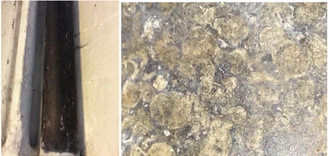 Fig. 17. (left) Shaft to internal side of east window with (right) enlargement to show shells in Purbeck Marble.